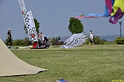 Parco San Giuliano  - 404